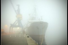 Stubnitz im Nebel